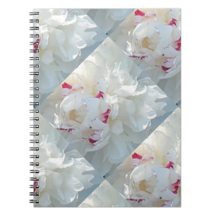 Carnet romantique à plusieurs pivoines