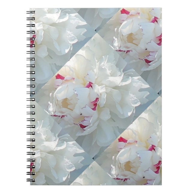 Carnet romantique à plusieurs pivoines (Devant)
