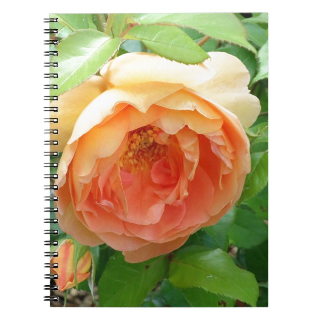 Carnet Romantique élégant Rose orange (Devant)