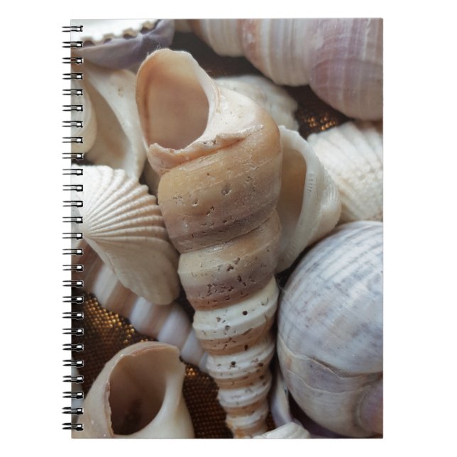 Carnet Romantique Tropical Exotic Sea Shells Plage Amour (Devant)