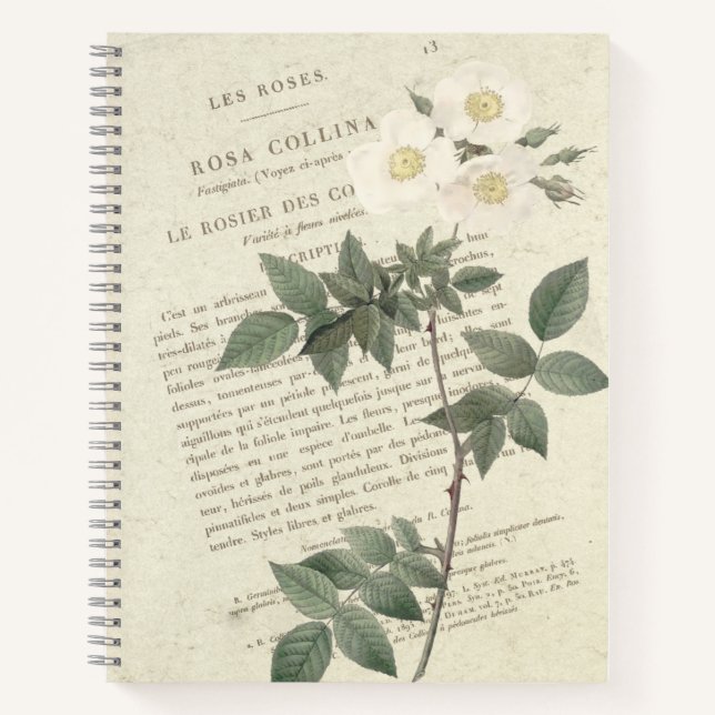 Carnet Rosa Collina Vintage (Devant)