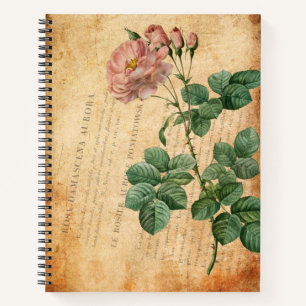 Carnet Rosa Damascena Aurora