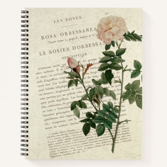 Carnet Rosa Orbessanea Vintage (Devant)