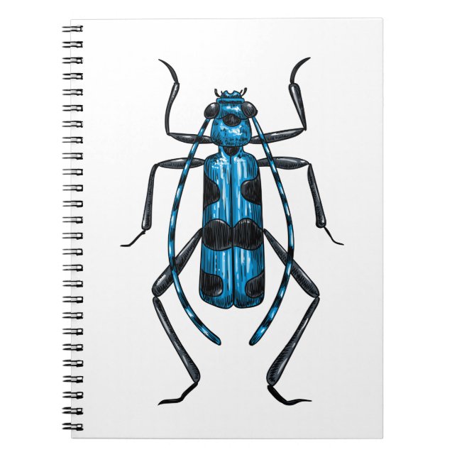 Carnet Rosalia Alpina beetle (Devant)