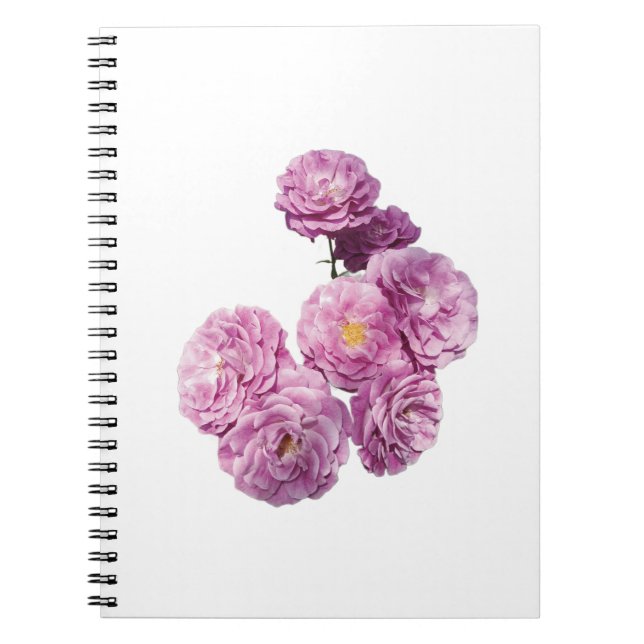 Carnet rose (Devant)