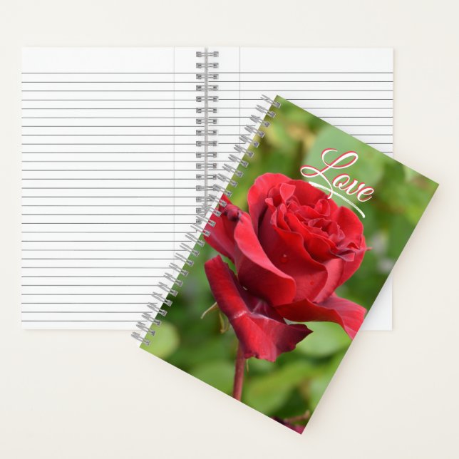 Carnet rose (À l'intérieur)
