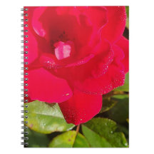 Carnet Rose