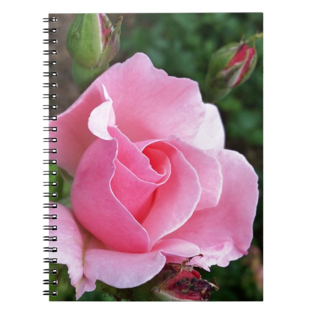 Carnet rose (Devant)