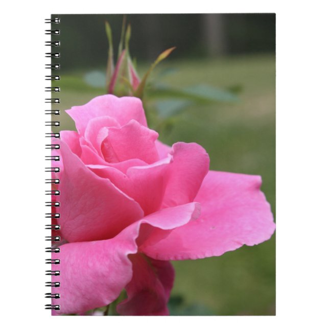 Carnet rose (Devant)