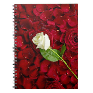 Carnet Rose blanc sur les pétales rouges