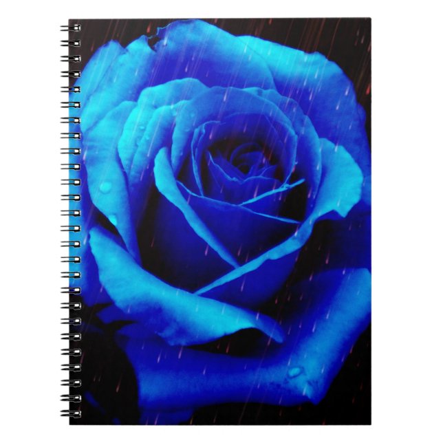 Carnet Rose bleu spectaculaire (Devant)