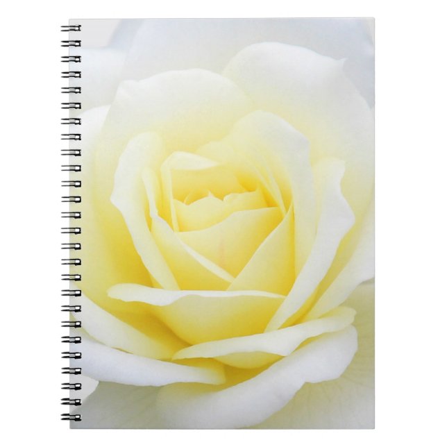 Carnet Rose crémeux (Devant)