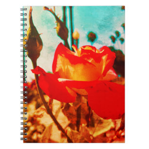 Carnet Rose d'alimentation de fleurs