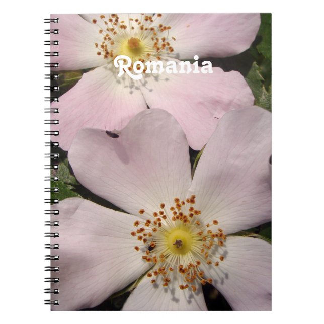 Carnet Rose de chien (Devant)