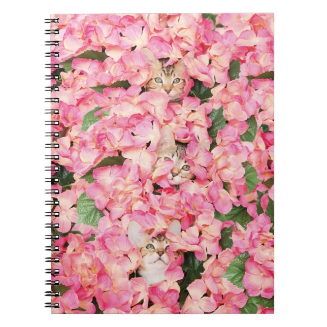 Carnet rose de collage de chaton de fleur (Devant)