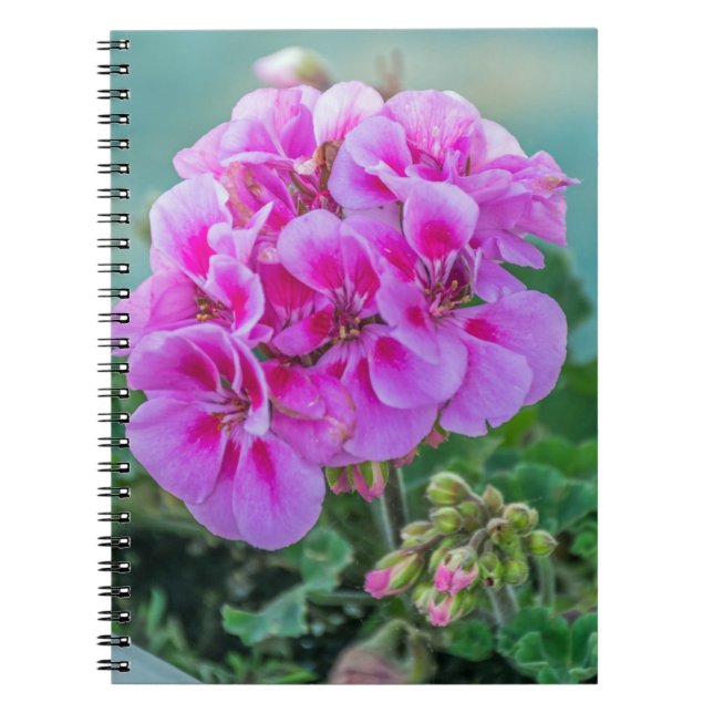 Carnet rose de géraniums (Devant)