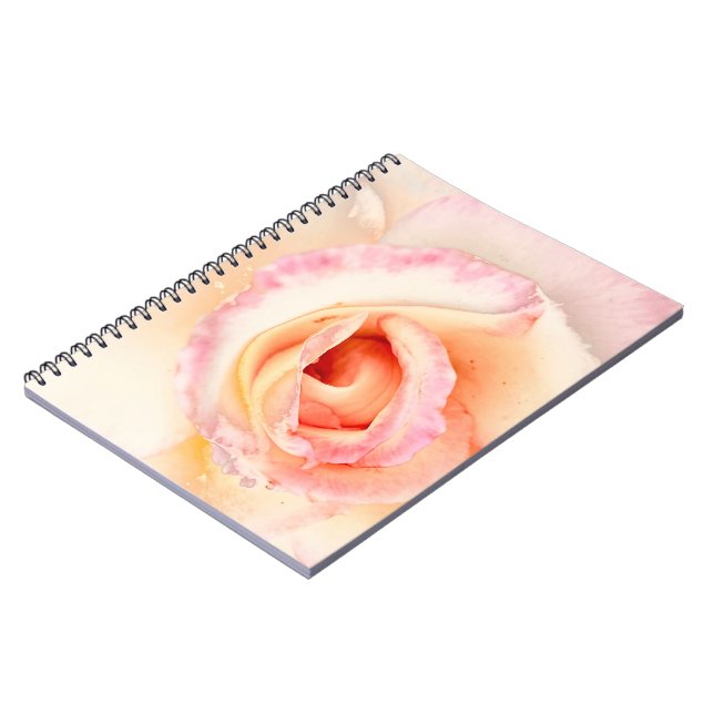 Carnet Rose de lait (Côté gauche)