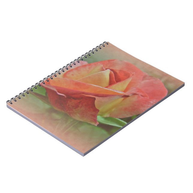 Carnet Rose de paix en fleurs (Côté gauche)