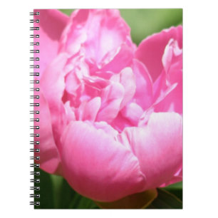 Carnet rose de pivoine