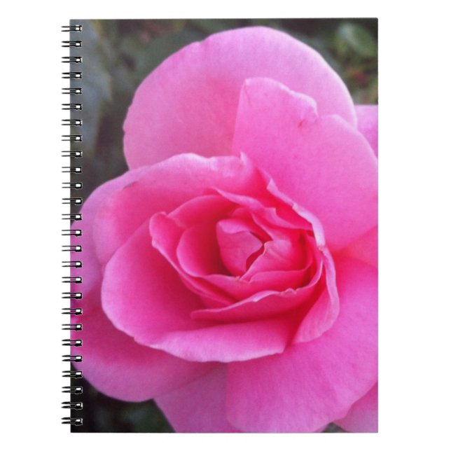 Carnet - rose de rose (Devant)