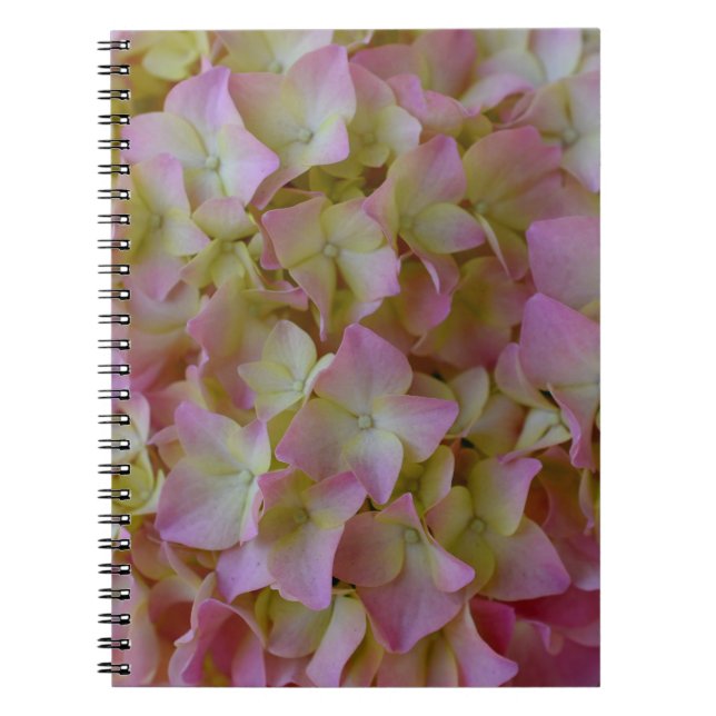 Carnet rose d'hortensia (Devant)