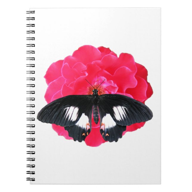 Carnet Rose et Swallowtail (Devant)