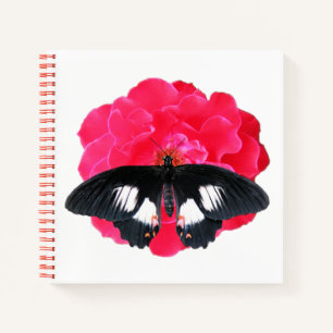 Carnet Rose et Swallowtail