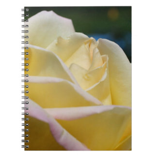 Carnet Rose jaune pâle