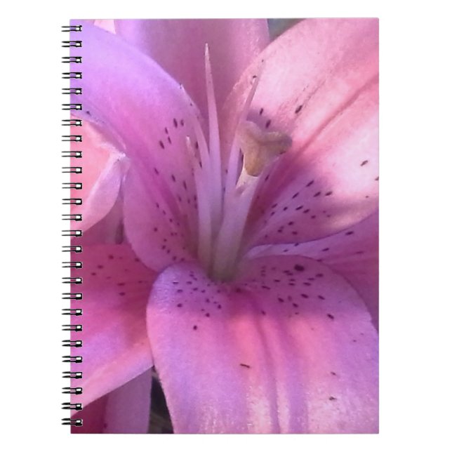 Carnet rose Lily (Devant)