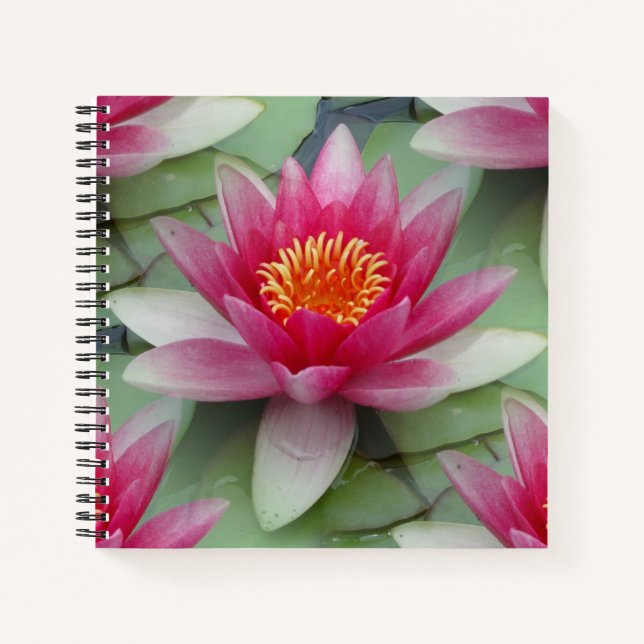 Carnet Rose Lotus Water Lily (Devant)