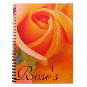 Carnet Rose orange par Alexandra Cook