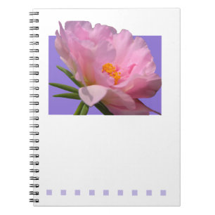 Carnet rose Peony