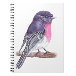 Carnet Rose robin