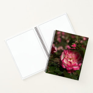 Carnet Rose & Rose blanche, Housse rigide