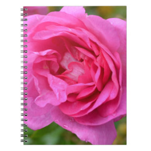 Carnet rose rose de novembre