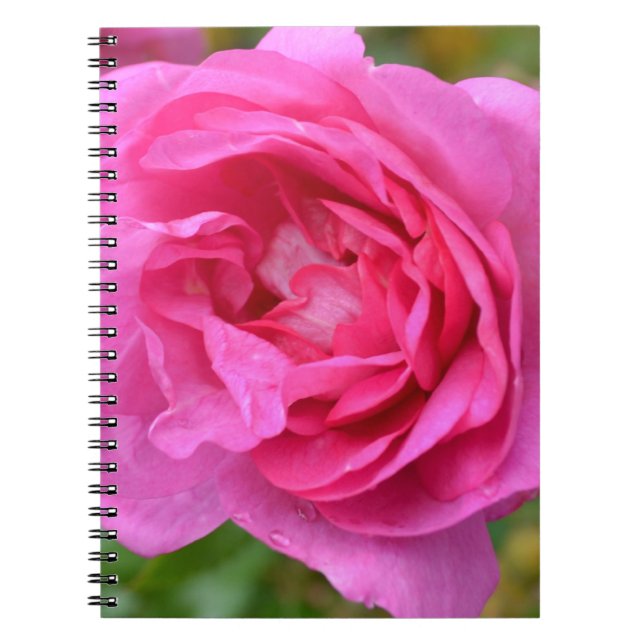 Carnet rose rose de novembre (Devant)