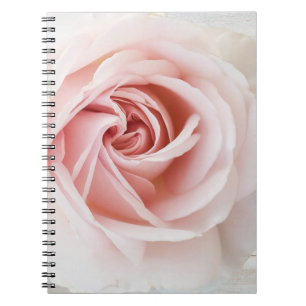 Carnet Rose rose et blanc Bois Chic Chic Farmhouse Glam