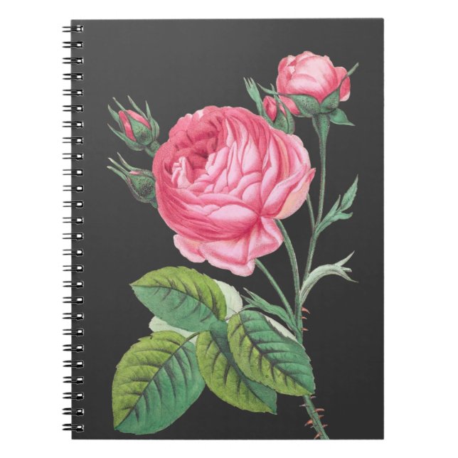Carnet Rose rose florale moderne (Devant)