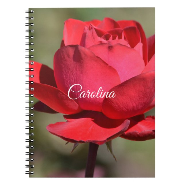 Carnet Rose rouge (Devant)