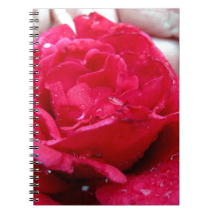 Carnet Rose rouge