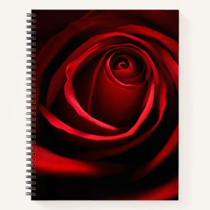 Carnet rose rouge