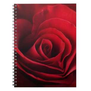 Carnet Rose rouge de Valentine