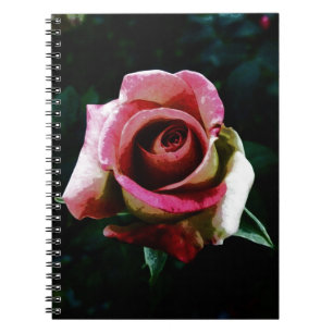 Carnet Rose rouge peinte à l'huile