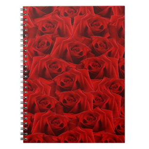 Carnet Rose rouge romantique