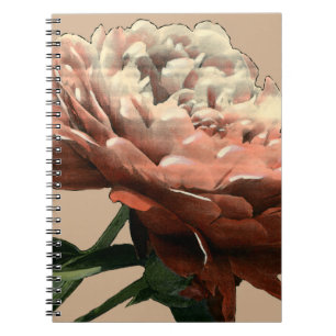 Carnet Rose rouge rouge avec les accents blancs