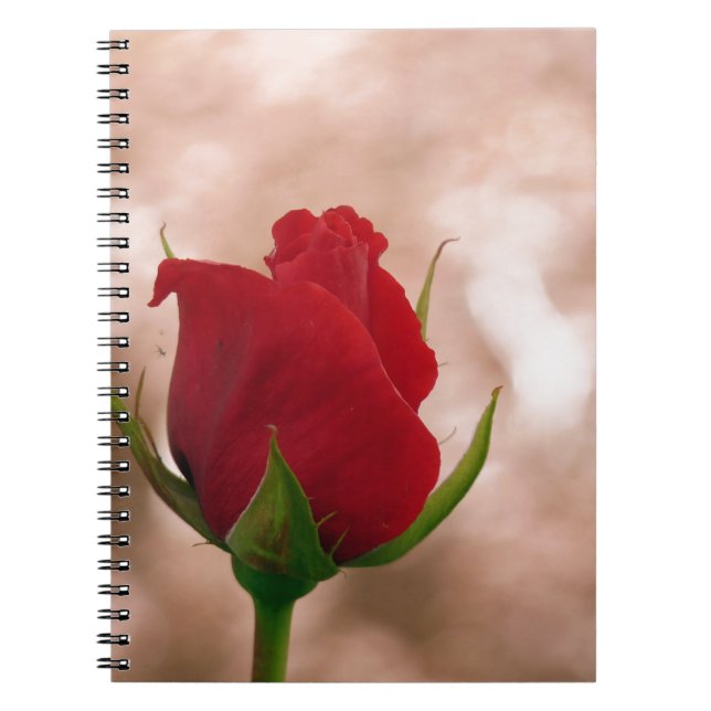 Carnet Rose rouge simple (Devant)