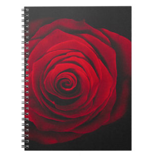 Carnet Rose rouge sur effet vintage arrière - plan noir