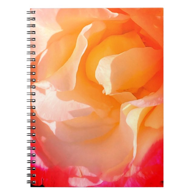 Carnet Rose rouillé (Devant)