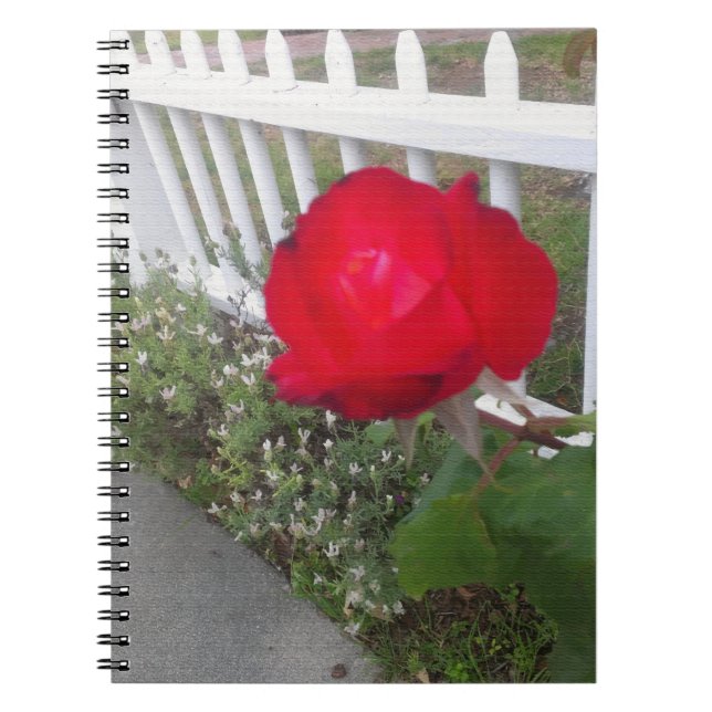 Carnet Rose Solo Rouge (Devant)