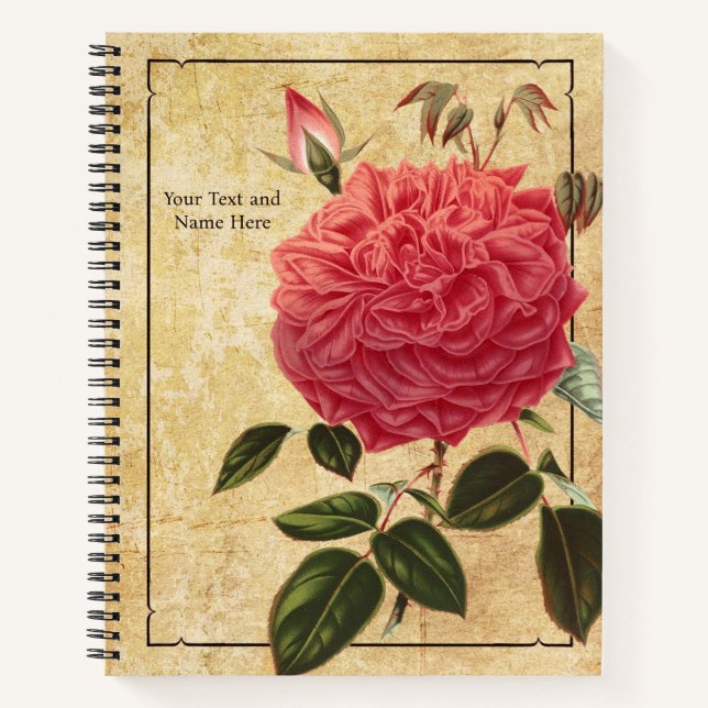 Carnet Rose Souvenir de la Malmaison (Devant)